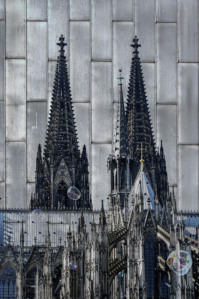 Dom