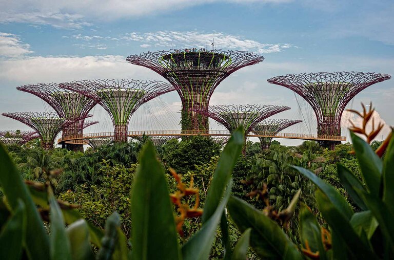 Gardens by the bay