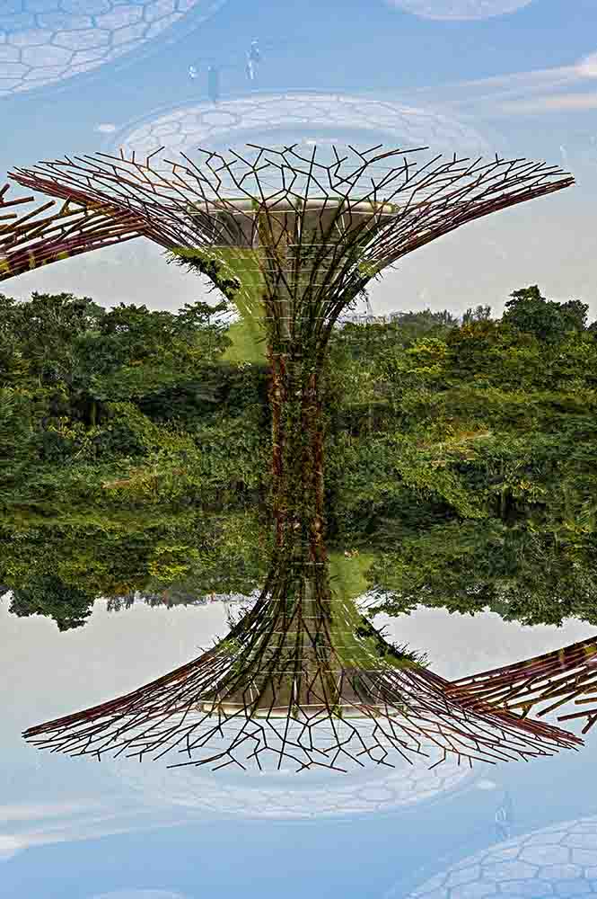 Gardens by the bay