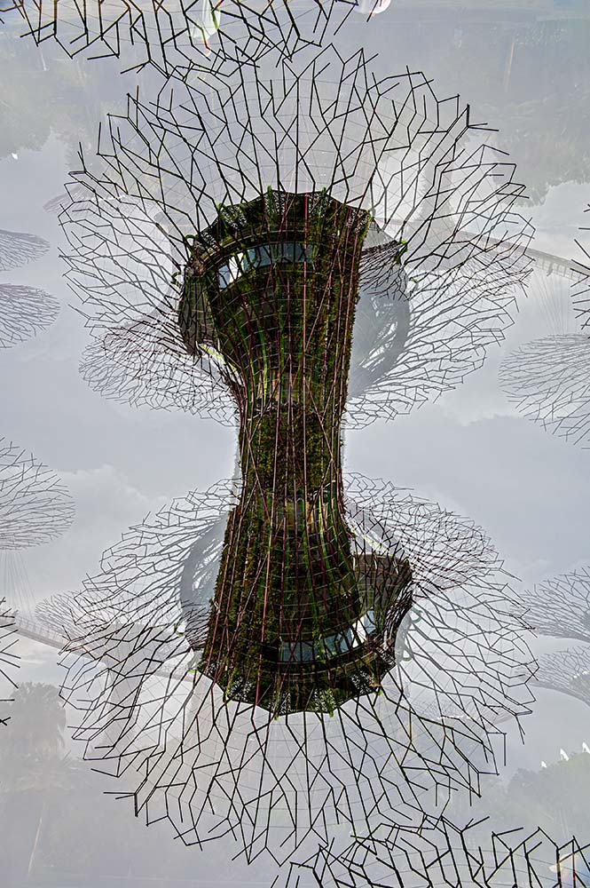 Gardens by the bay