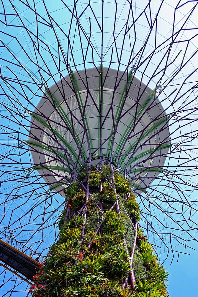 Gardens by the bay