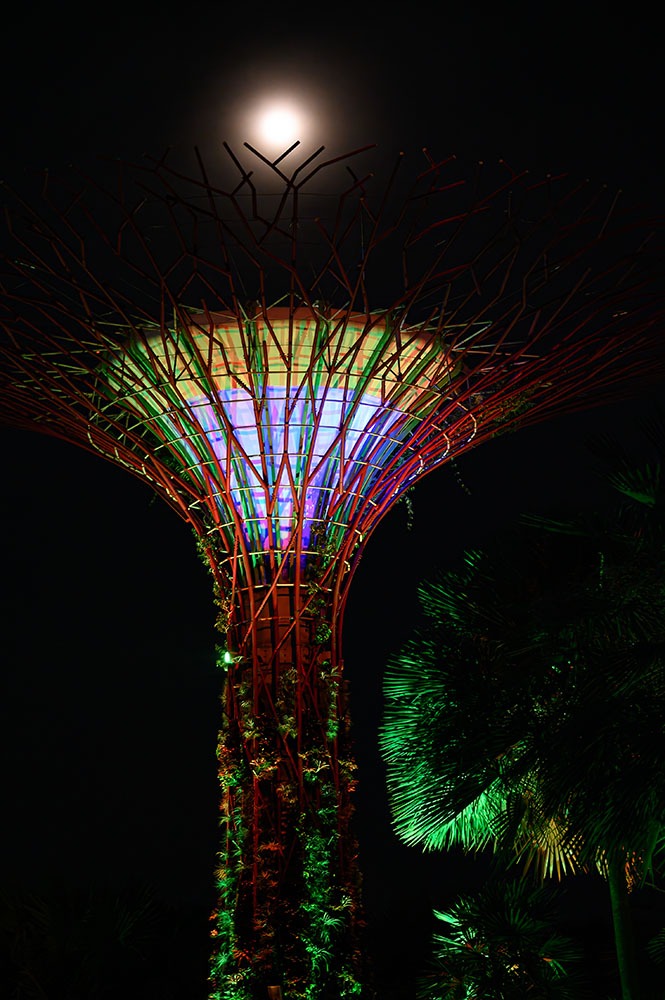 Gardens by the bay