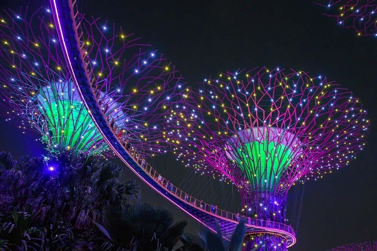 Gardens by the bay