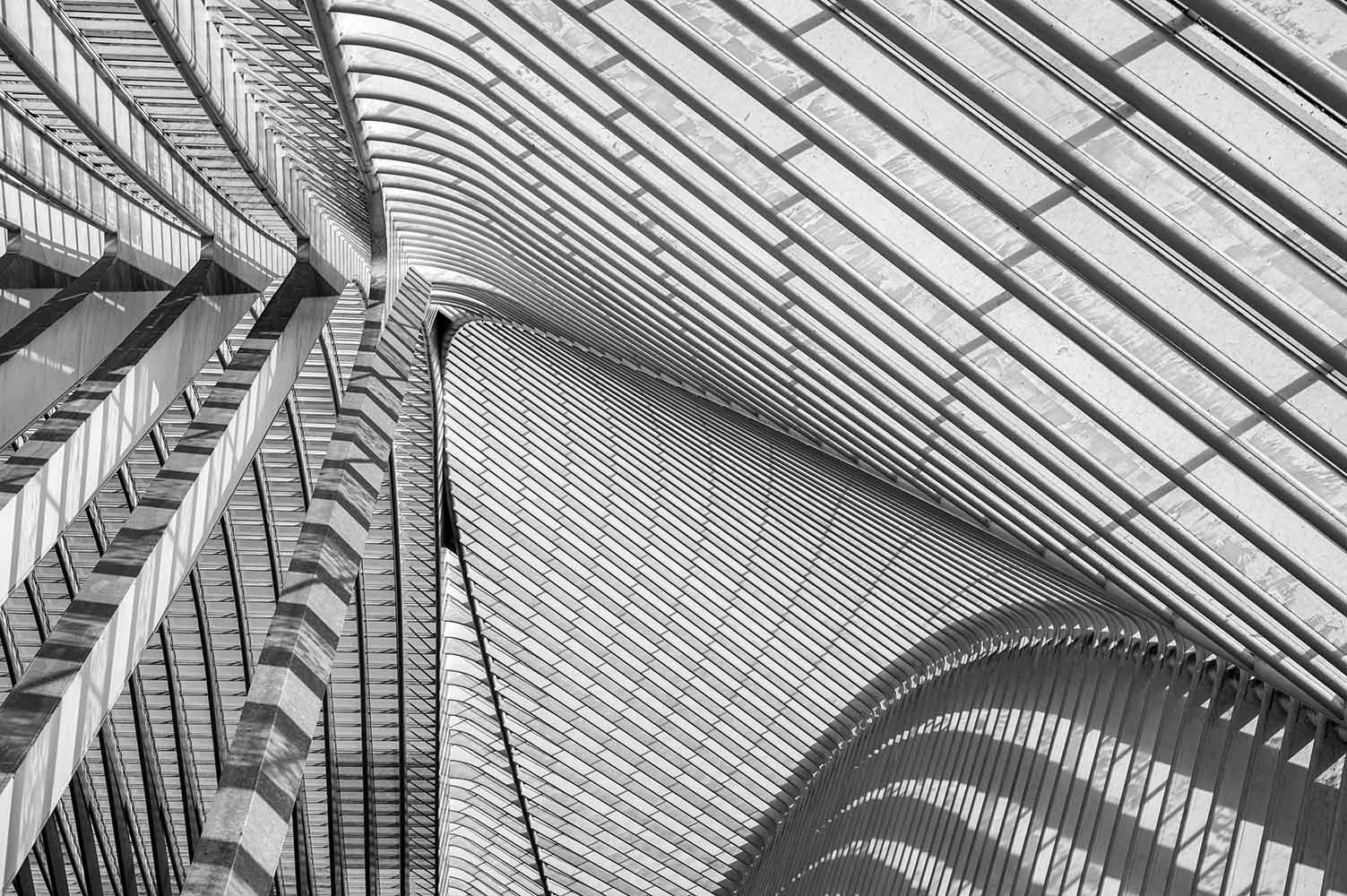 Lüttich_HiRes_DSC9728_sw